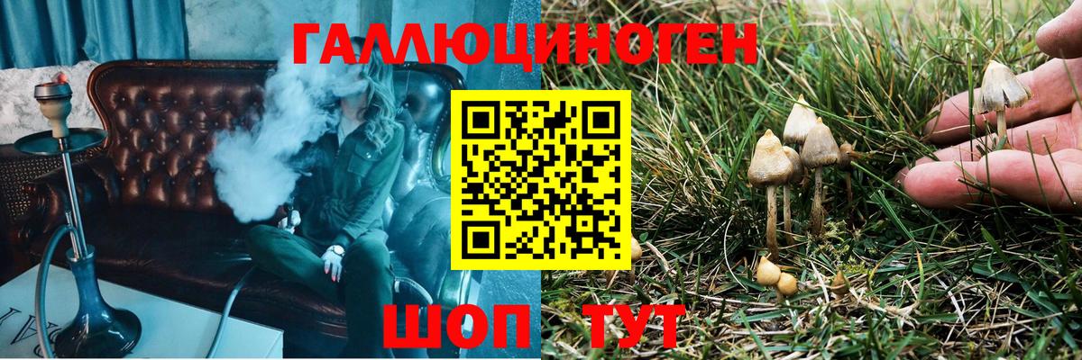 Псилоцибиновые грибы ЛСД  Псилоцибиновые грибы MAGIC MUSHROOMS  Тосно  Вход с VPN 
